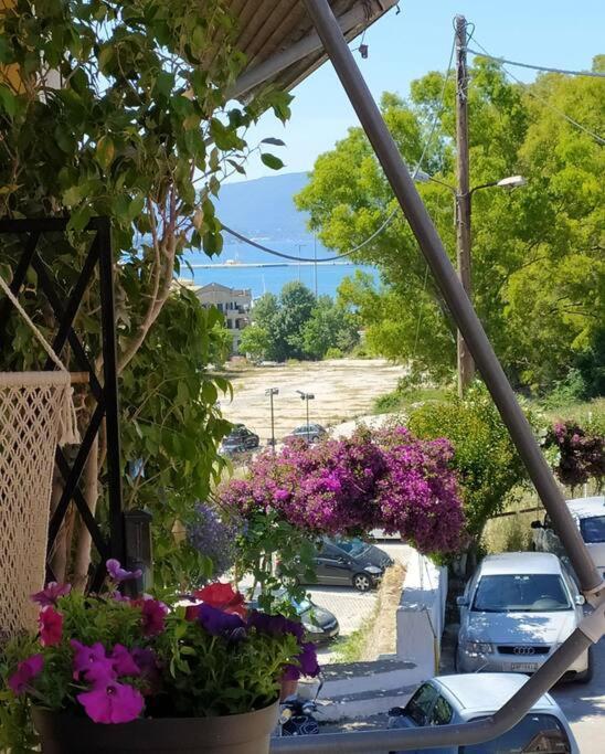 Xenofon'S Cozy Apartment Corfu  外观 照片